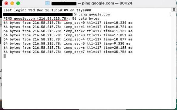 Ping i adres IP w terminalu macOS